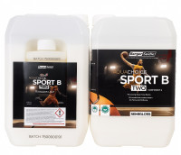 Berger AquaSeal Sport 5,5л лак для спортзалів